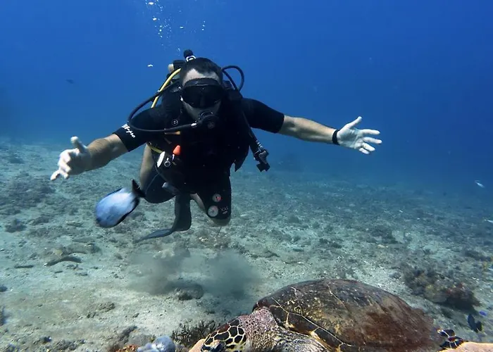 Jepun Hill & Jepun Divers アメッド